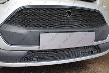 2 969 р. Защитная сетка в бампер (ячейка 3х7 мм, нижняя часть) Alfeco Стандарт  Ford Tourneo Custom (2012-2018) (Чёрная). Увеличить фотографию 3