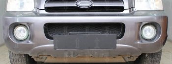 2 969 р. Защитная сетка радиатора в бампер (ячейка 3х7 мм) Стрелка11 Стандарт  Hyundai Santa Fe  1 (2000-2012) (черная). Увеличить фотографию 1