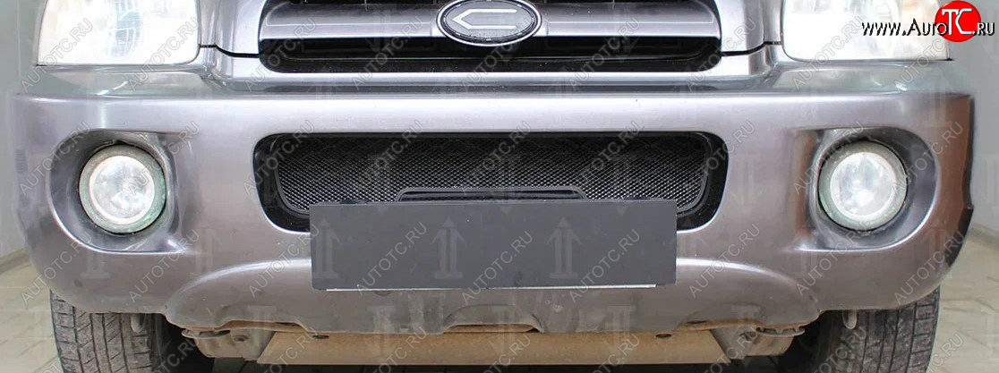 2 969 р. Защитная сетка радиатора в бампер (ячейка 3х7 мм) Стрелка11 Стандарт Hyundai Santa Fe 1 SM (2000-2012) (черная)