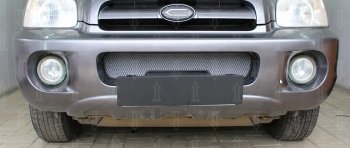 3 099 р. Защитная сетка радиатора в бампер (ячейка 3х7 мм) Стрелка11 Стандарт  Hyundai Santa Fe  1 (2000-2012) (хром). Увеличить фотографию 1
