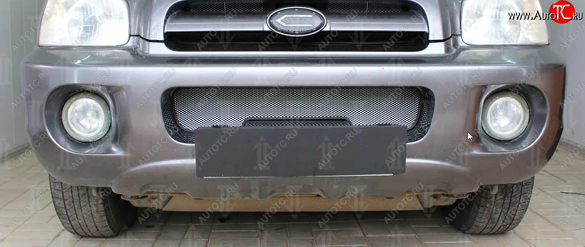3 099 р. Защитная сетка радиатора в бампер (ячейка 3х7 мм) Стрелка11 Стандарт  Hyundai Santa Fe  1 (2000-2012) (хром)