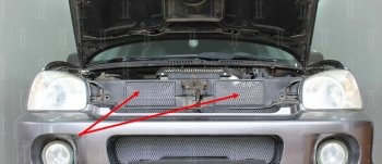 2 589 р. Защитная сетка в решетку радиатора (ячейка 3х7 мм, 2 части) Стрелка11 Стандарт  Hyundai Santa Fe  1 (2000-2012) (хром). Увеличить фотографию 1