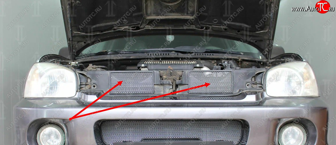 2 589 р. Защитная сетка в решетку радиатора (ячейка 3х7 мм, 2 части) Стрелка11 Стандарт  Hyundai Santa Fe  1 (2000-2012) (хром)