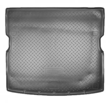 1 599 р. Коврик в багажник Norplast Unidec SSANGYONG Kyron рестайлинг (2007-2016) (Цвет: черный). Увеличить фотографию 1