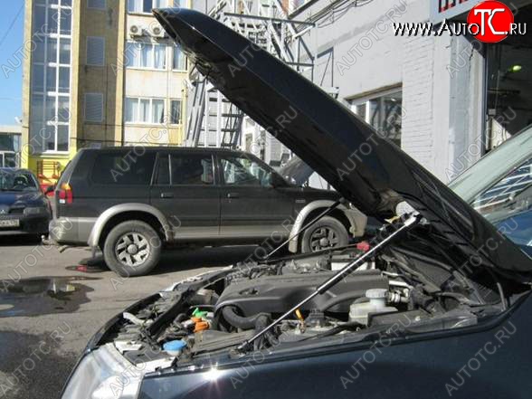 2 199 р. Газовые упоры капота Berkut Suzuki Grand Vitara JT 3 двери 1-ый рестайлинг (2008-2012)