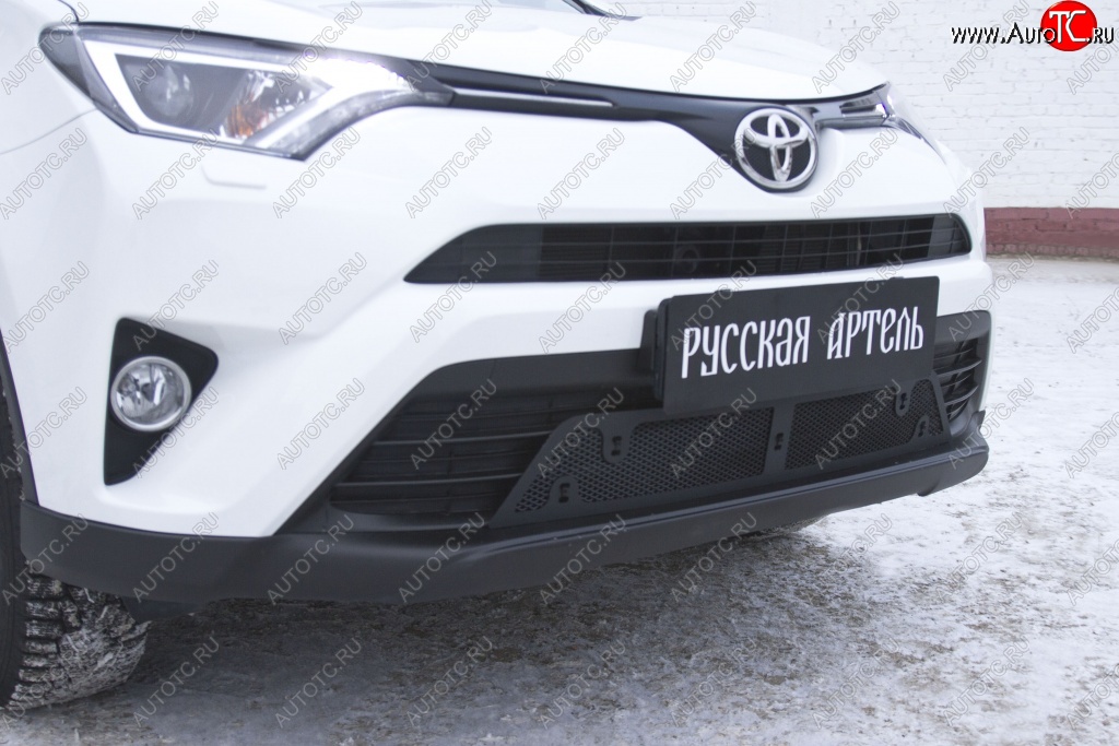 1 939 р. Защитная сетка решетки переднего бампера РА  Toyota RAV4  XA40 (2015-2019)