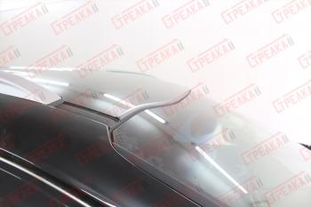 1 049 р. Универсальный антискол лобового стекла Стрелка11 BMW X5 F15 (2013-2018) (1 штука). Увеличить фотографию 9