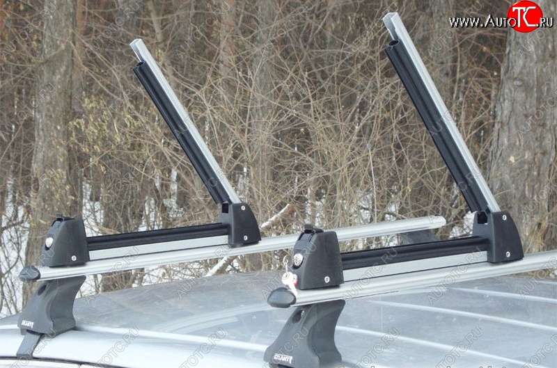 Крепление для 3 комплектов лыж или 2 сноубордов Amos Ski Lock 3 ВАЗ (Лада) 2101 (1970-1988) l1001 l1001 l1001. Подробнее