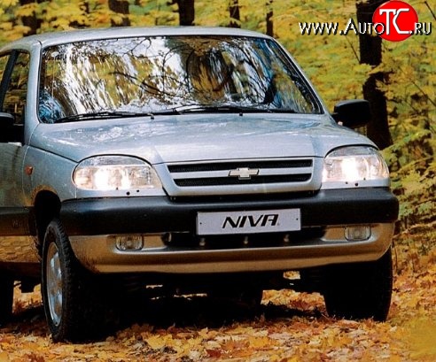 3 289 р. Передний бампер Стандартный  Chevrolet Niva  2123 (2002-2008), Лада 2123 (Нива Шевроле) (2002-2008) (Окрашенный)