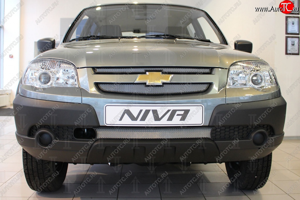 1 899 р. Защитная сетка на бампер Russtal (хром, 3 части)  Chevrolet Niva  2123 (2002-2008), Лада 2123 (Нива Шевроле) (2002-2008)