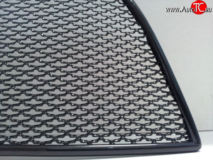 1 469 р. Сетка на бампер Track&Field Russtal (черная)  Volkswagen Tiguan  NF (2011-2017)